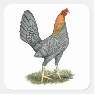 Game Hen Blue Red Vierkante Sticker
