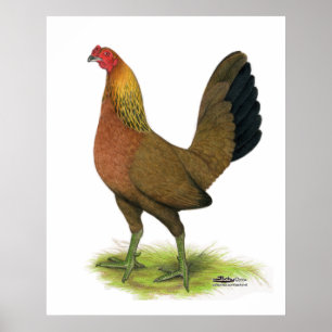 Game Hen: met erwten gekamd Poster