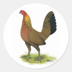 Game Hen: met erwten gekamd Ronde Sticker