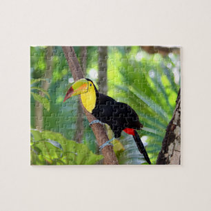 Game Puzzle Tropical Bird Legpuzzel