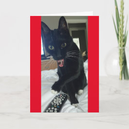 Game uitnodiging Afstandsbediening Kat Grappig