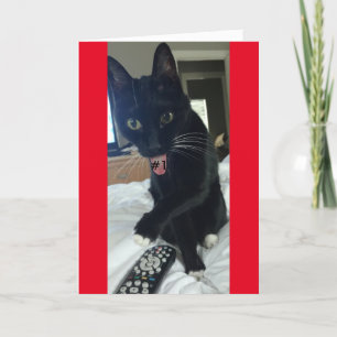 Game uitnodiging Afstandsbediening Kat Grappig