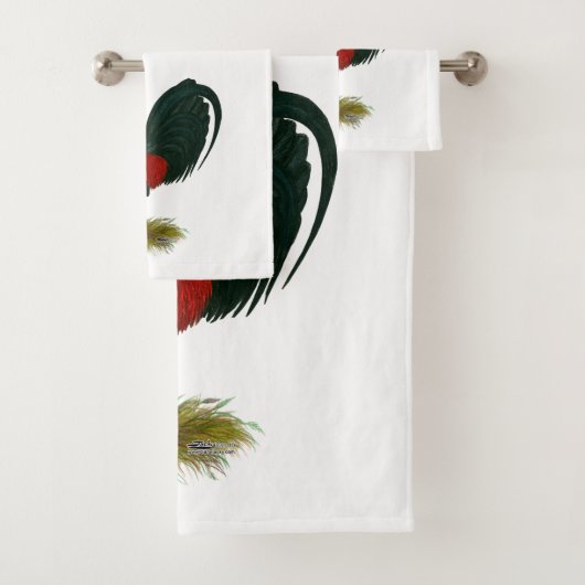 Gamecock américain : Rouge Brown (En situation)