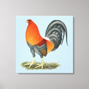 Gamecock Blauwe Rode Haantje Canvas Afdruk