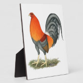 Gamecock Blue Red Rooster Fotoplaat (Zijkant)