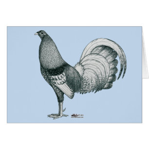 Gamecock Crele ou Dom