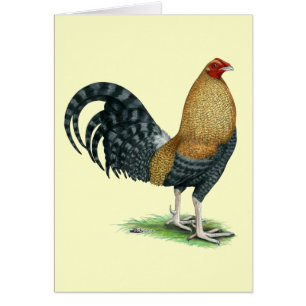 Gamecock: Dom of Crele