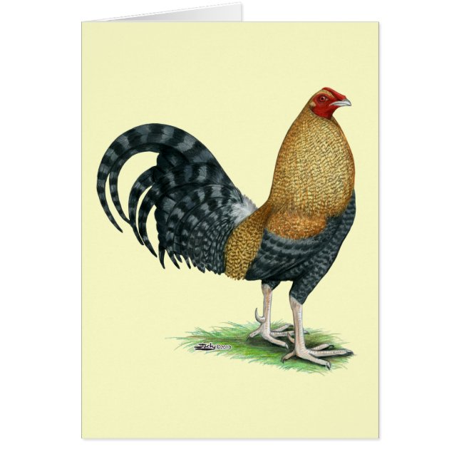 Gamecock: Dom of Crele (Voorkant)