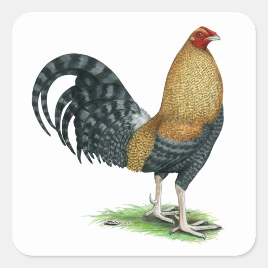 Gamecock: Dom of Crele Vierkante Sticker (Voorkant)