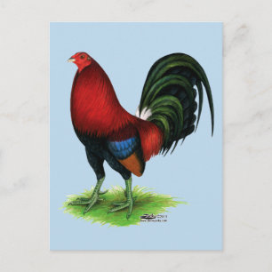 Gamecock: Donkerrood Briefkaart