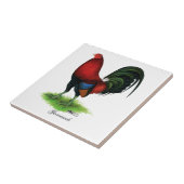 Gamecock: Donkerrood Tegeltje (Zijkant)