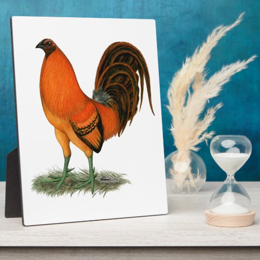 Gamecock Ginger Red Rooster Fotoplaat (Zijkant)