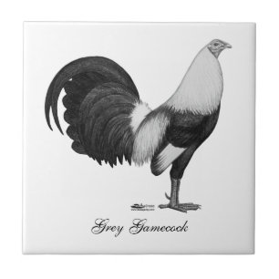 Gamecock Grey Duckwing Tegeltje