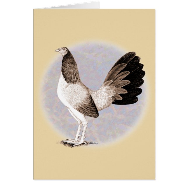 Gamecock : Hennie (Devant)