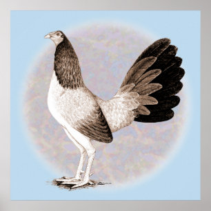 Gamecock: Hennie Poster