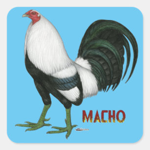 Gamecock Macho Duckwing Vierkante Sticker
