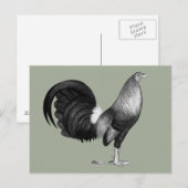 Gamecock Red Hatch Briefkaart (Voorkant / Achterkant)