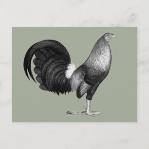 Gamecock Red Hatch Briefkaart