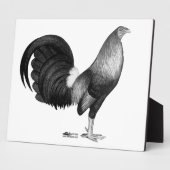 Gamecock Red Hatch Fotoplaat (Zijkant)