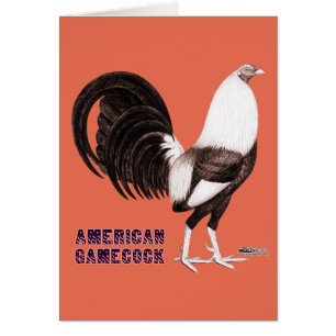 Gamecock Sepia