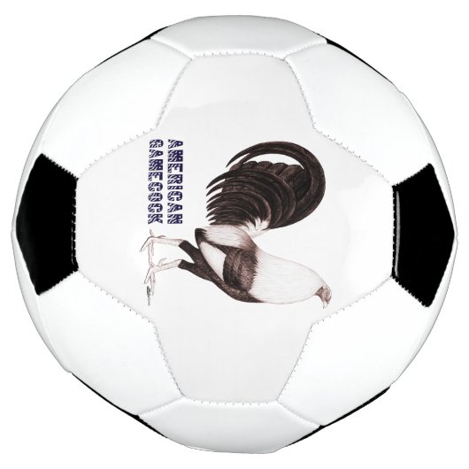 Gamecock Sepia (Tourné)