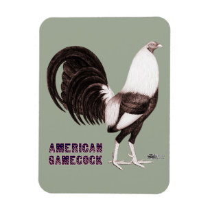 Gamecock Sepia Magneet