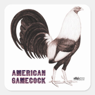 Gamecock Sepia Vierkante Sticker