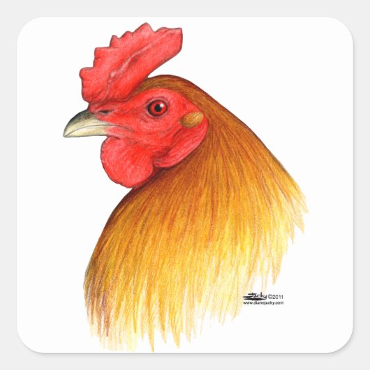 Gamecock Stag Pea Comb Vierkante Sticker (Voorkant)