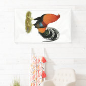 Gamecock Wheaten Rooster Spandoek (Insitu)