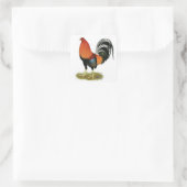 Gamecock Wheaten Rooster Vierkante Sticker (Tas)