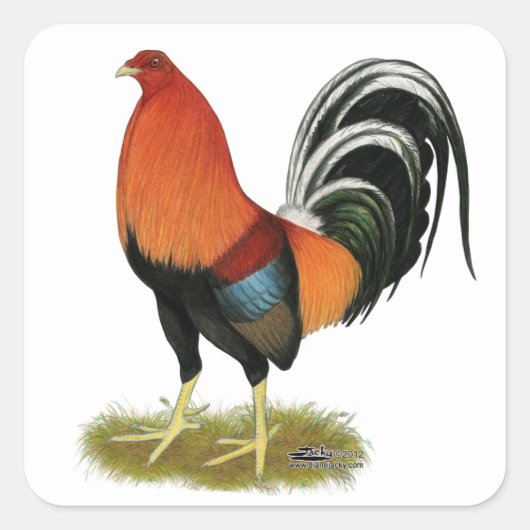 Gamecock Wheaten Rooster Vierkante Sticker (Voorkant)