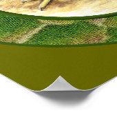 Gamefowl op het Boerderij Poster (Hoek)