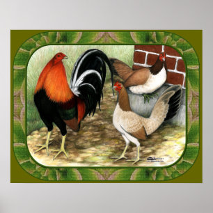 Gamefowl op het Boerderij Poster