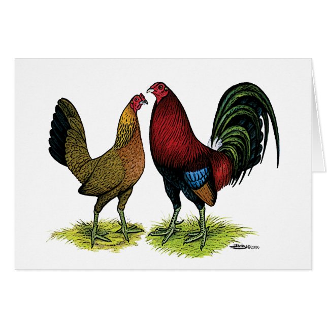 Gamefowl Pair (Devant horizontal)