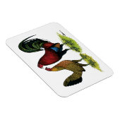 Gamefowl Pair Magneet (Rechterzijde)