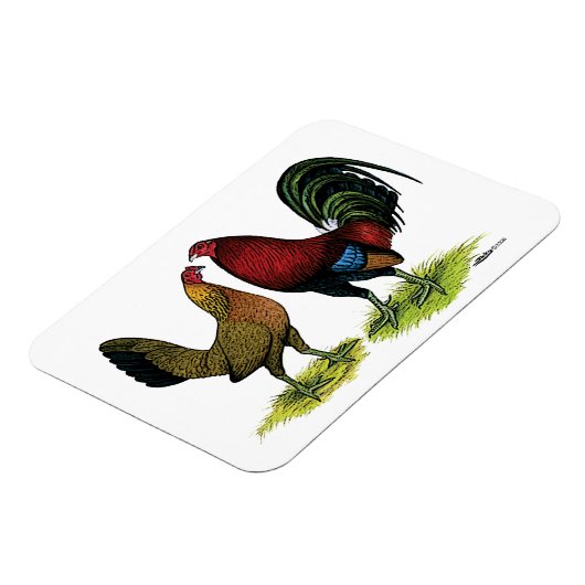 Gamefowl Pair Magneet (Linkerzijde)