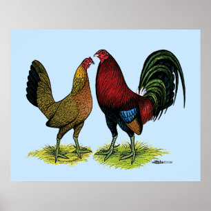 Gamefowl Pair Poster