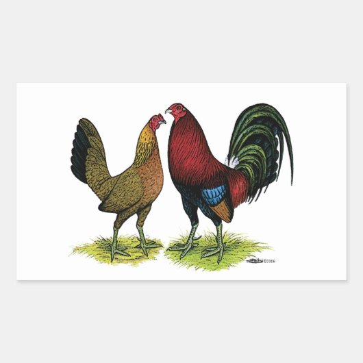 Gamefowl Pair Rechthoekige Sticker (Voorkant)