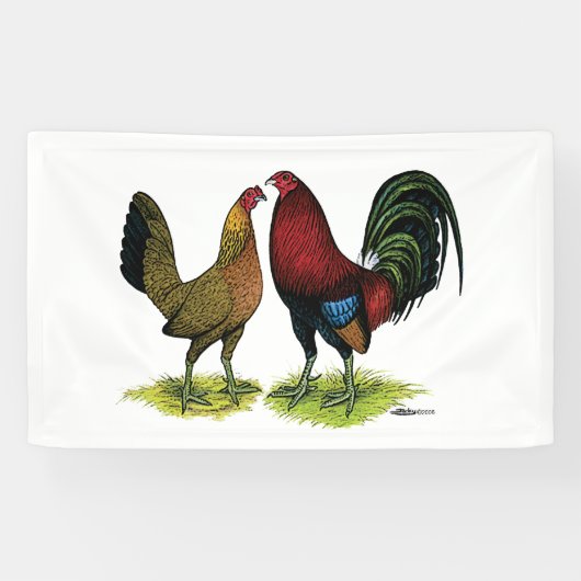 Gamefowl Pair Spandoek (Horizontaal)
