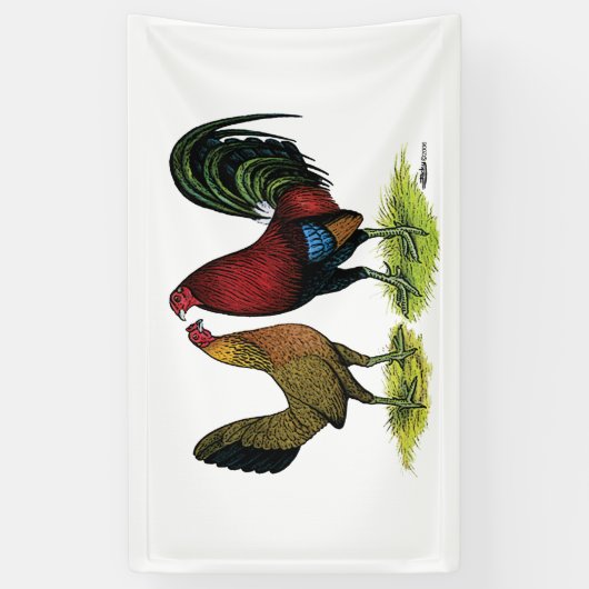 Gamefowl Pair Spandoek (Verticaal)