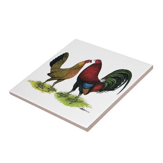 Gamefowl Pair Tegeltje (Zijkant)