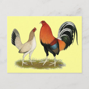Gamefowl Wheatens Briefkaart