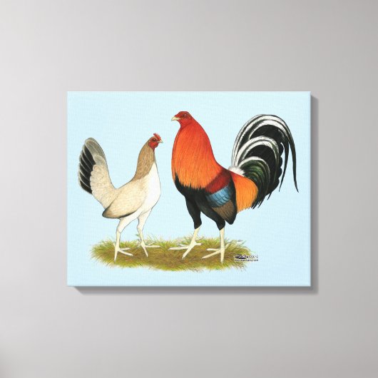 Gamefowl Wheatens Canvas Afdruk (Voorkant)