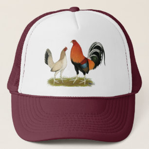 Gamefowl Wheatens Trucker Pet