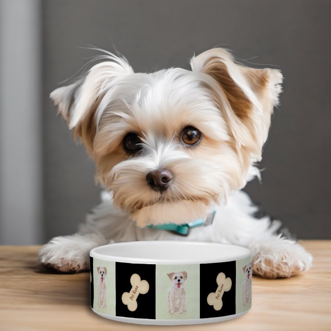 Gamelle pour chien Morkie avec os (Créateur téléchargé)