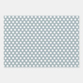 Gamme de papier d'enveloppement de raccons et de d (Devant 2)