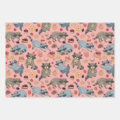 Gamme de papier d'enveloppement de raccons et de d (Devant)