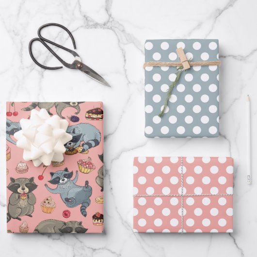 Gamme de papier d'enveloppement de raccons et de d (Recto)