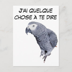 Gamme Perroquet - Gris du Gabon Briefkaart