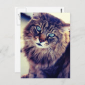 Gandalf Briefkaart (Voorkant / Achterkant)